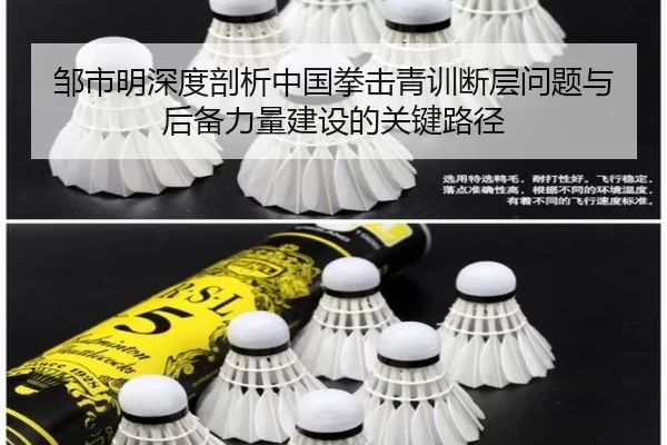 邹市明深度剖析中国拳击青训断层问题与后备力量建设的关键路径